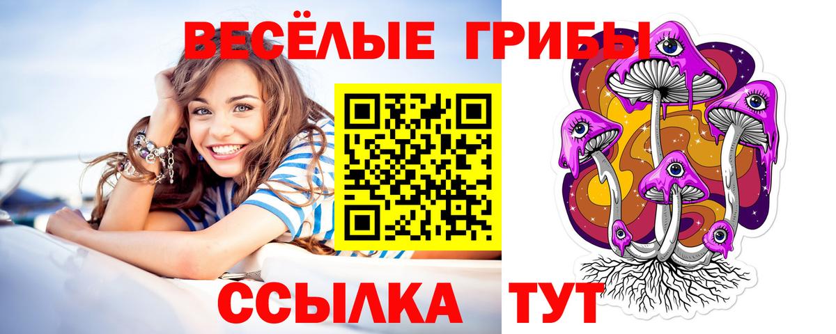 Галлюциногенные грибы прущие грибы  Вход с VPN  Псилоцибиновые грибы мицелий  Большой Камень 