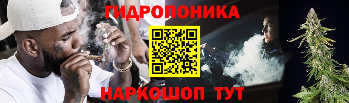 Канабис сатива  Каннабис Ganja  Вход с VPN  Большой Камень 